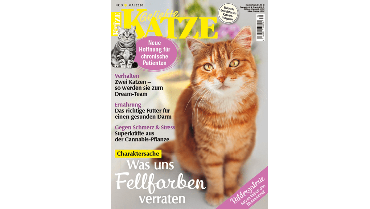 Jahresabonnement "Geliebte Katze"