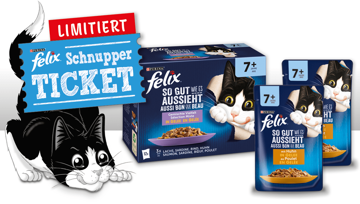 FELIX® Schnupper-Ticket Senior