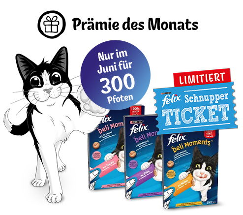 Prämie Juni