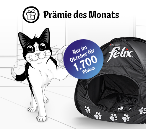 Prämie des Monats Oktober