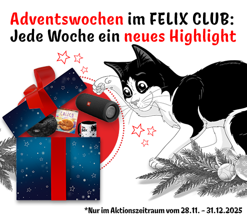 Adventswochen