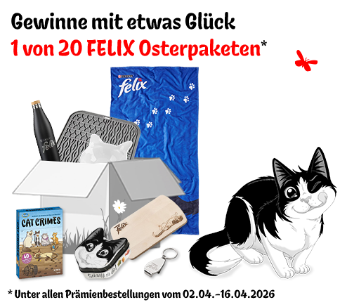 Osteraktion