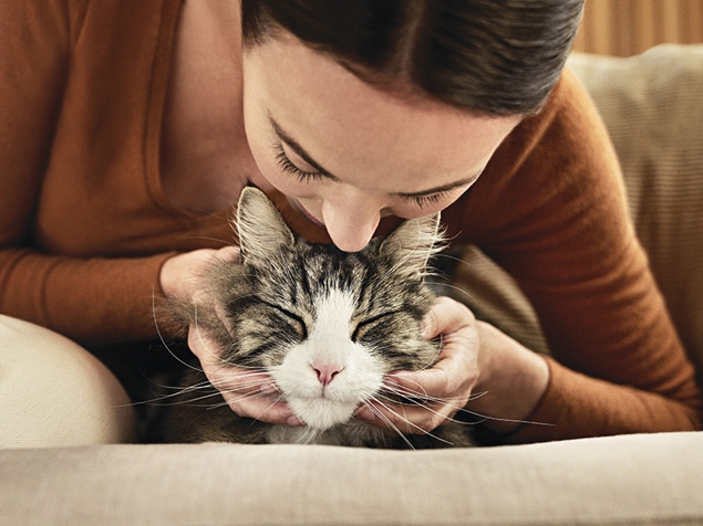 Katze und Besitzer hypoallergen