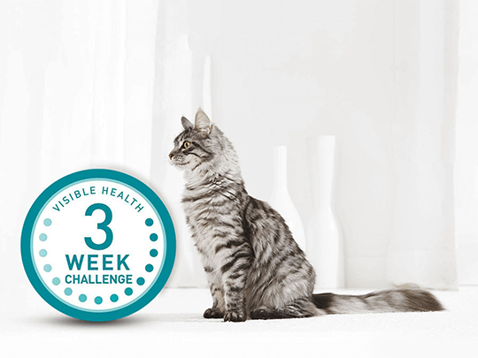 Purina one testaktion shop