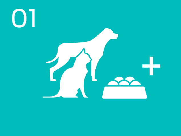 01 Dog and cat food infographic
