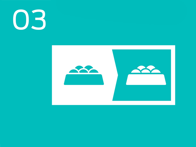 03 food bowl infogrpahic