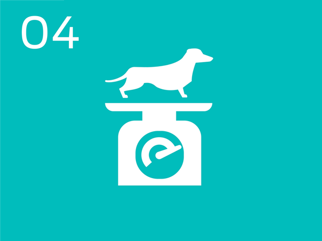 04 dog on scales infographic