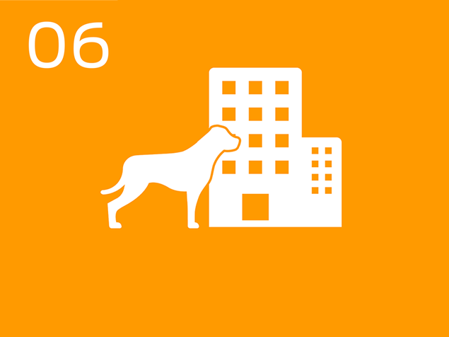 06 dog at office building infographic