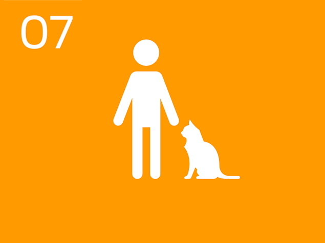 07 Person with cat infographic