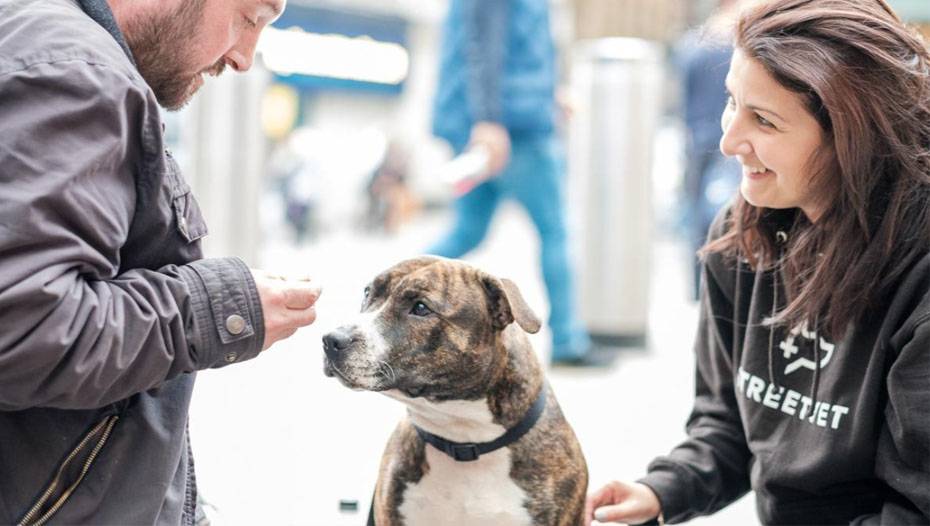 Outreach funktioniert im Gespräch mit Hunden auf der Straße