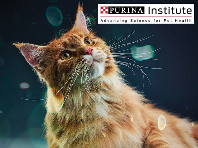 PURINA Wissenschaft