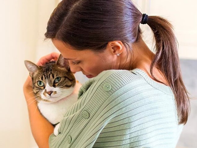 Frau streichelt Katze