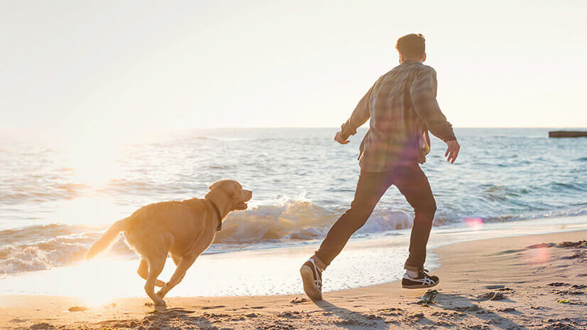 Hund und Besitzer am Strand