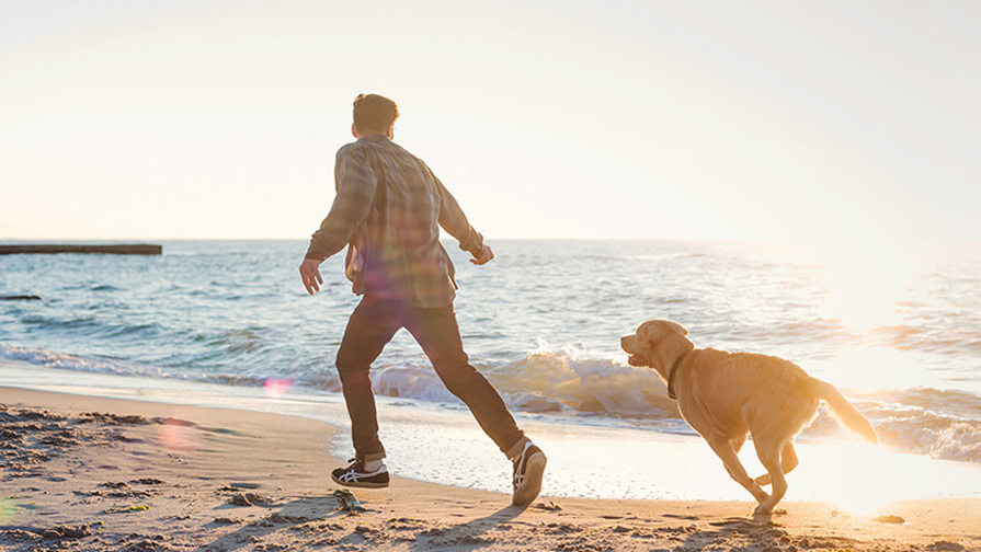 Mann läuft am Strand mit Hund