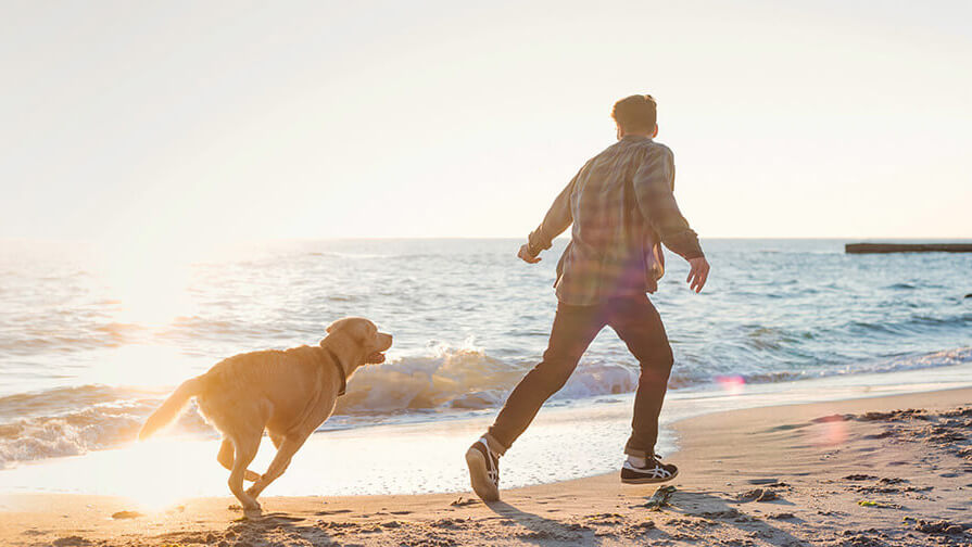Hund und Besitzer am Strand