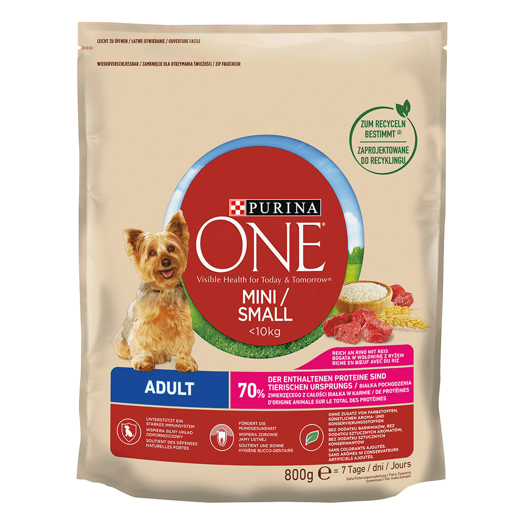 Adult Trockenfutter PURINA ONE MINI