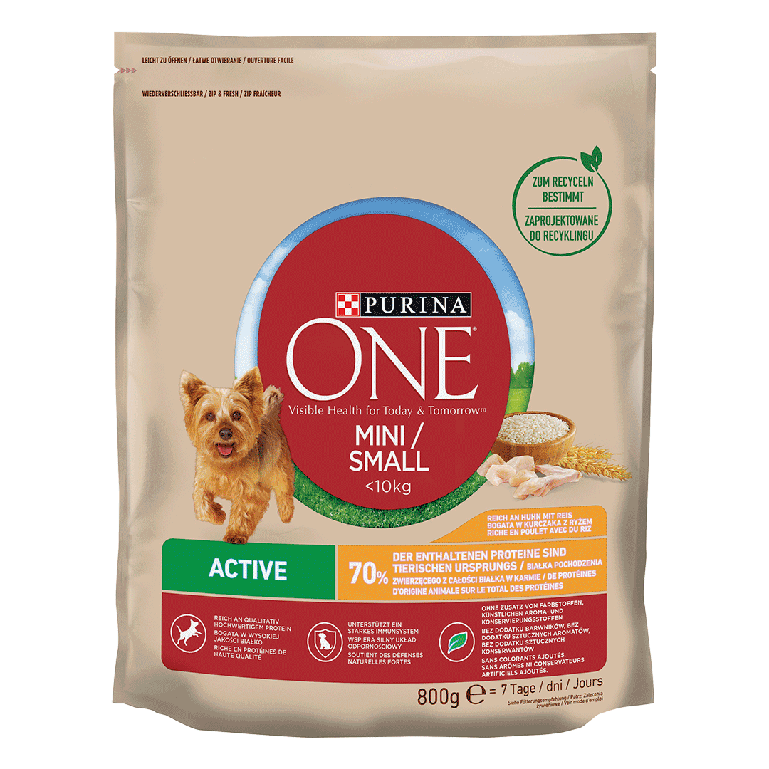 Active Trockenfutter PURINA ONE MINI