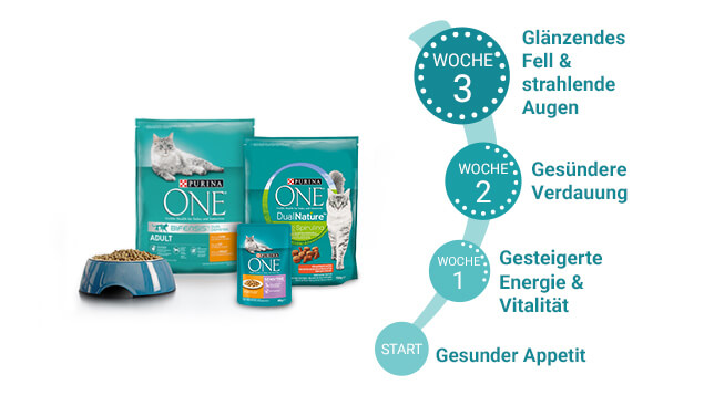 One-Startseite_Bild 3.jpg