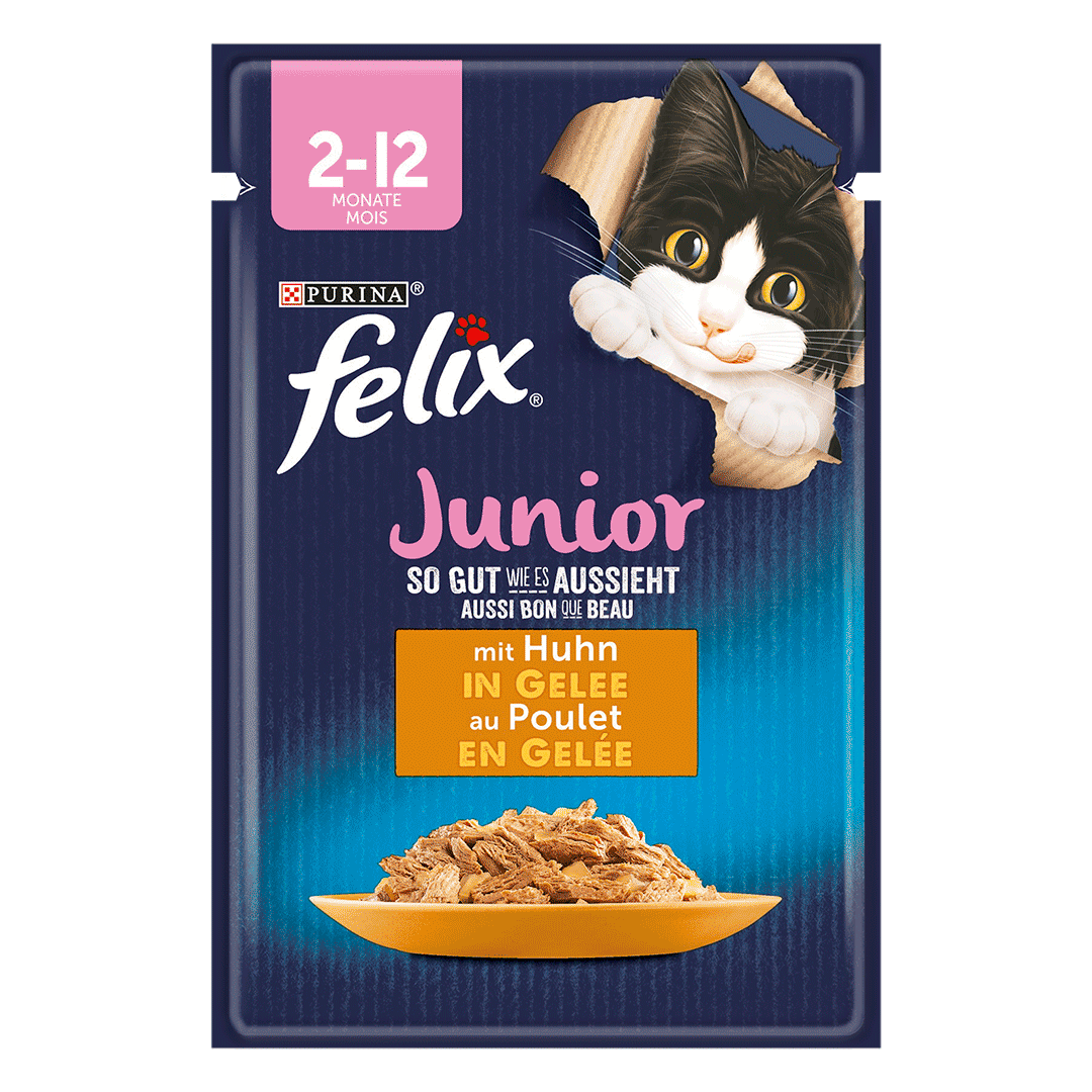 hundebett xxl sale XXL Hundebett aus Holz für große Hunde main image 1