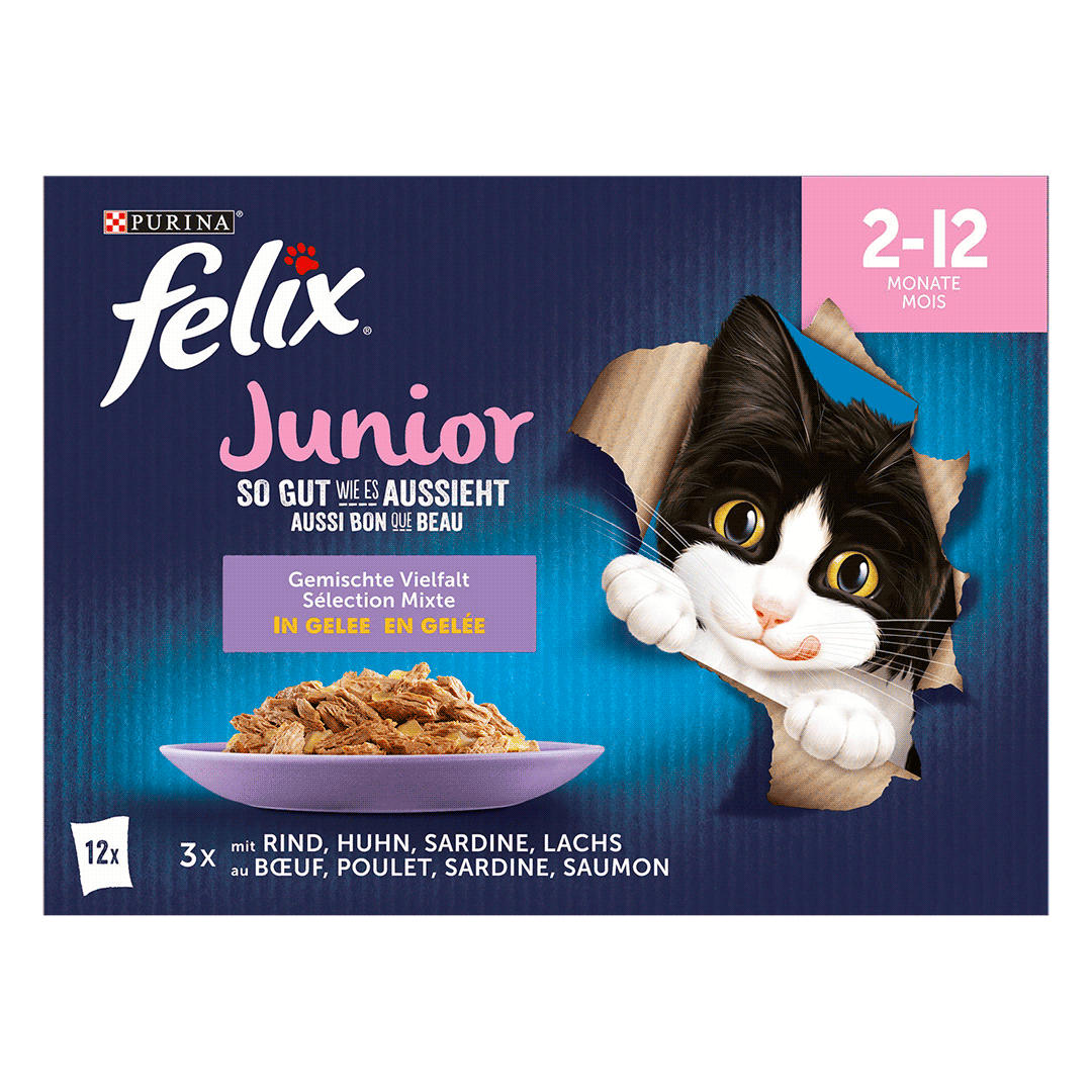 hunde trockenfutter rind AniForte Rind Mini Trockenfutter  Getreidefrei fr kleine Hunde