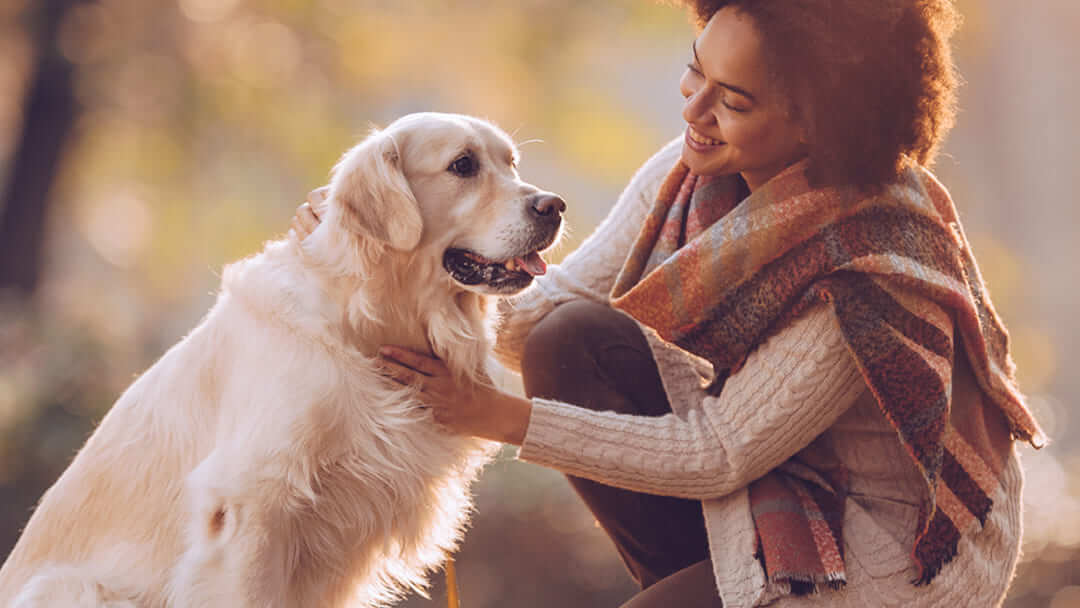 Hundesprache Besser Verstehen Und Richtig Deuten Purina