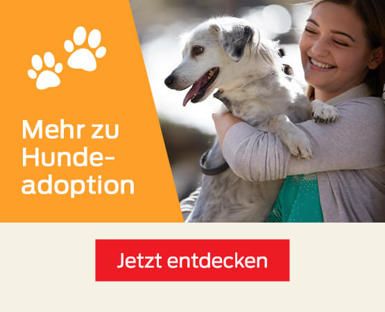 PURINA® Hundeadoption