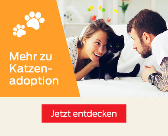 PURINA® Katzenadoption