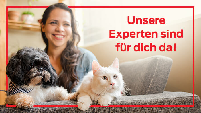 Expertenrat Teaser Frau mit Hund und Katze