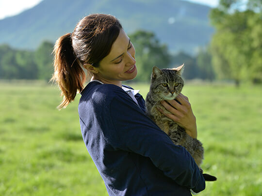 PURINA BEYOND Hero Image