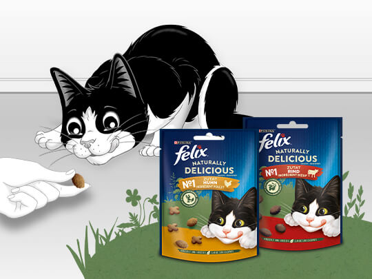 FELIX NATURALLY DELICIOUS Desktop Image