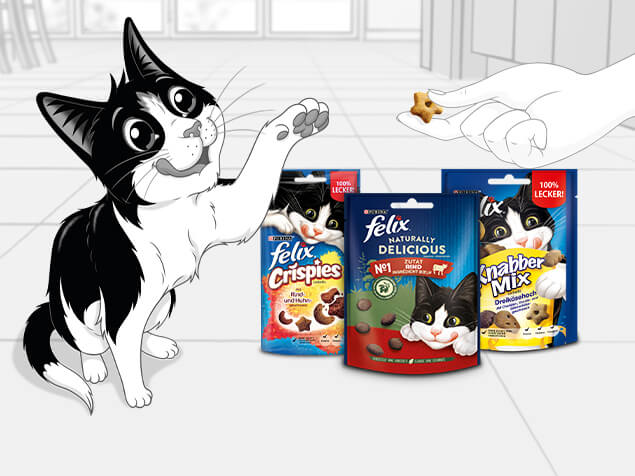 Felix mit Produkten