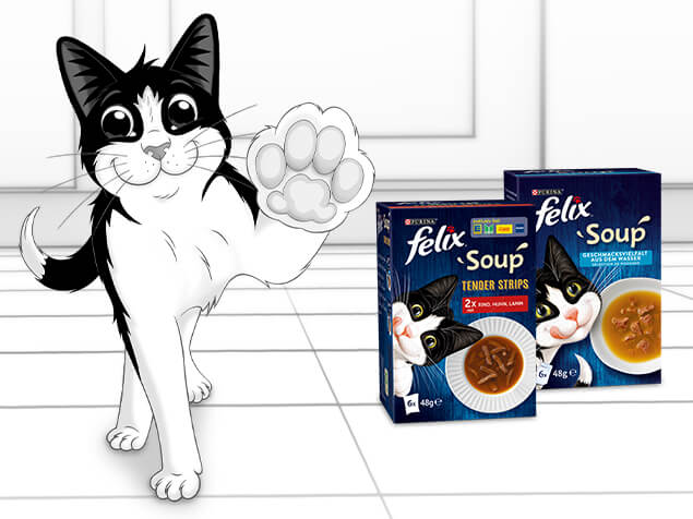 Felix mit Soup Produkten