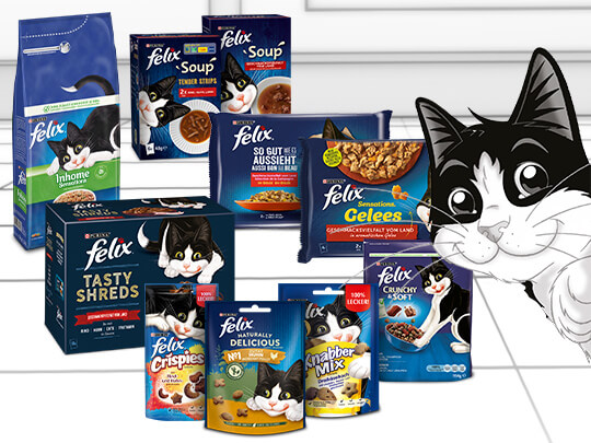 FELIX Hero Image Desktop