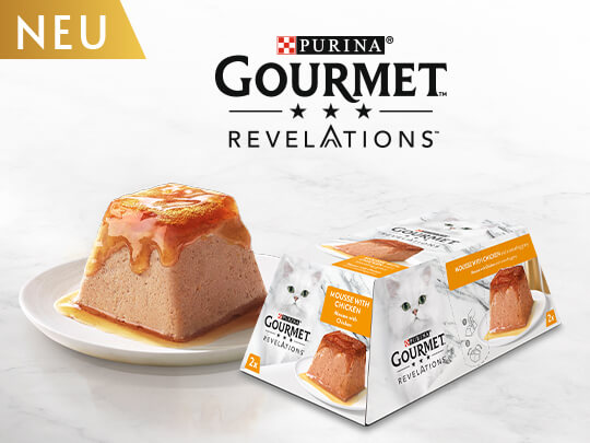 GOURMET Revelations Desktop Image