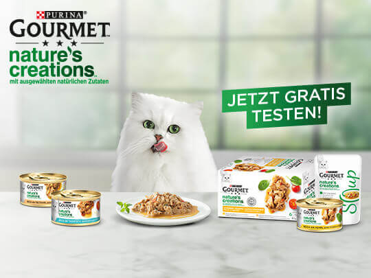 gourmet