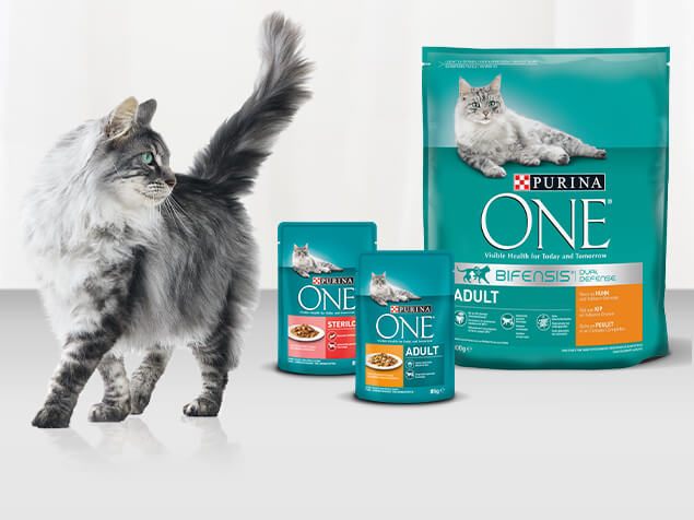 PURINA ONE BIFENSIS Desktop Image