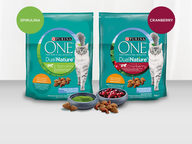 PURINA DUALNATURE Desktop Image