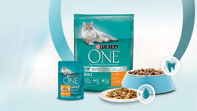 PURINA ONE Mischfütterung Desktop Image