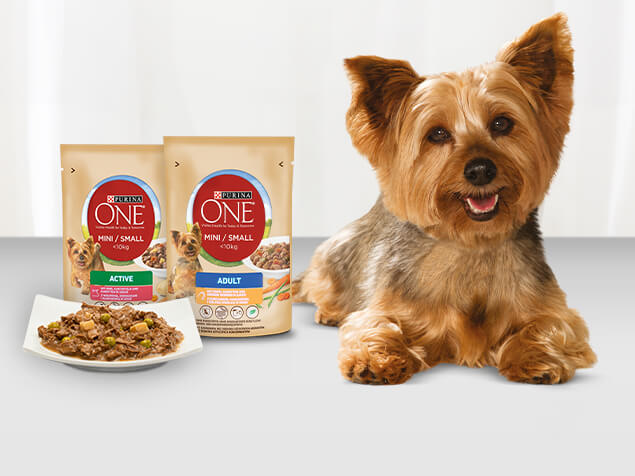 PURINA ONE MINI Nassfutter