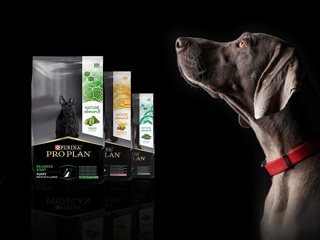 Hund mit ProPlan Packungen