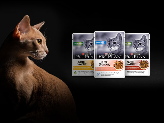 PRO PLAN Katze Nassfutter