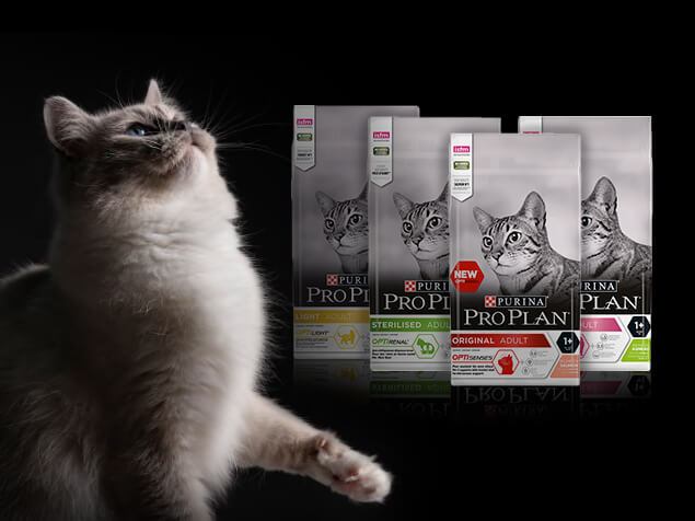 PRO PLAN Katze Trockenfutter