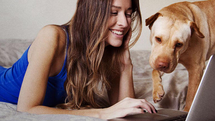 Eine Frau schaut mit ihrem Hund auf einen Laptop
