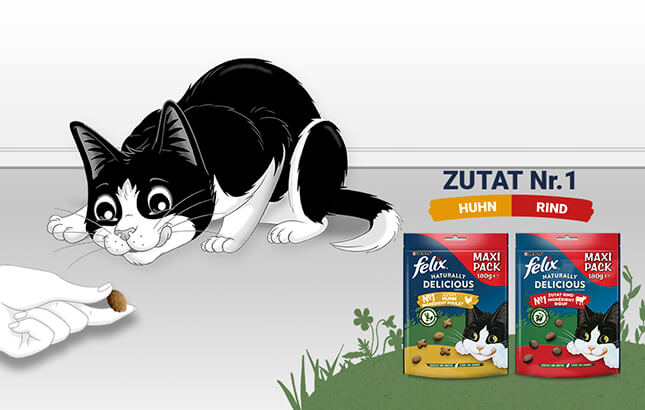 FELIX Naturally Delicious