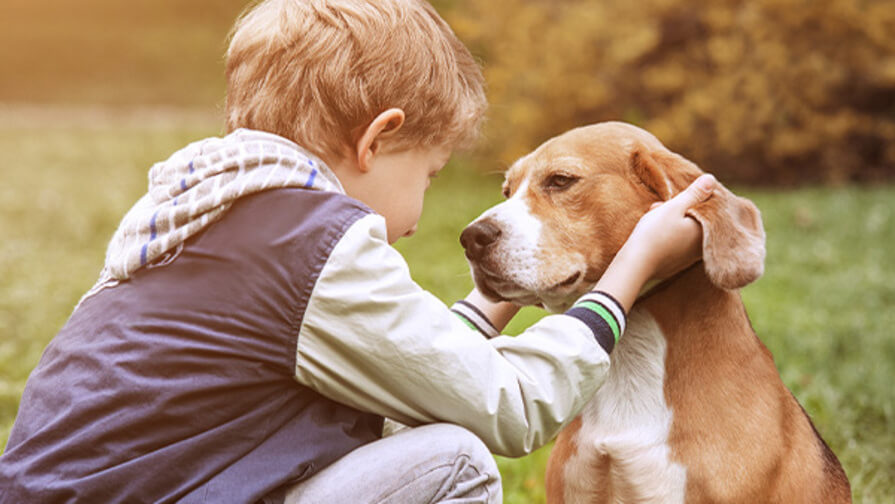 Kind mit Hund