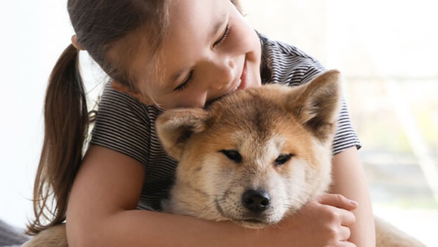 Kind schmust mit Hund