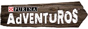 AdVENTuROS