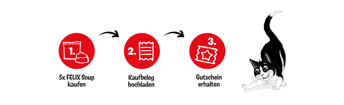 Jetzt FELIX Soup probieren! Jetzt Kaufbeleg hochladen und 5 € Gutschein sichern! - GRATIS TESTEN dank GELD-ZURÜCK-AKTION FELIX Soup Gutschein-Aktion