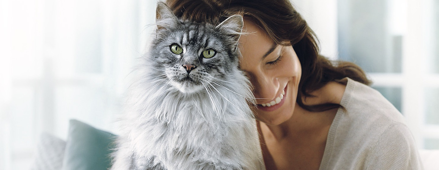 Tierhalterin legt Kopf auf graue Katze