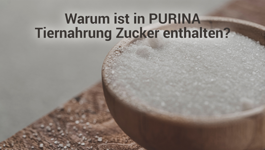Zucker in einer Schüssel